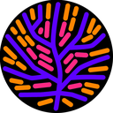 0x7A08Bf5304094CA4C7b4132Ef62b5EDc4a3478B7