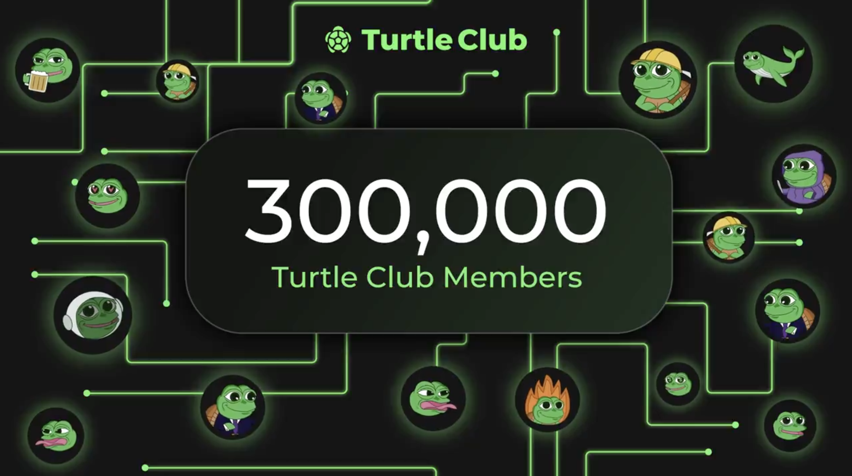 DeBank | Your go-to portfolio tracker for Ethereum and EVM